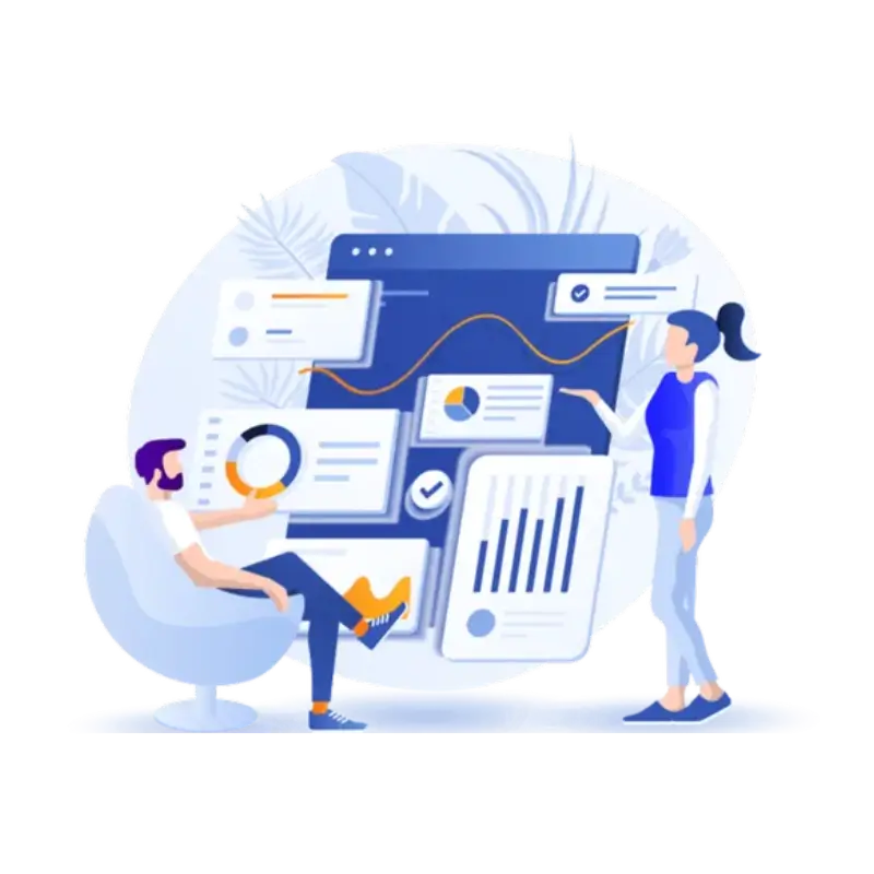 Choose Us for Tally Customisation in India