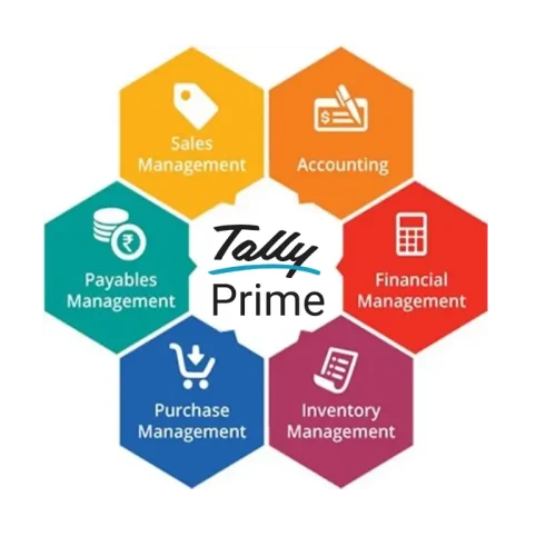 Tally Implementation - Tally Training for Your Team